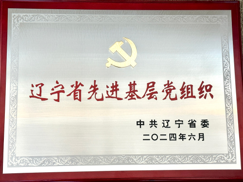 2024辽宁省先进基层党组织